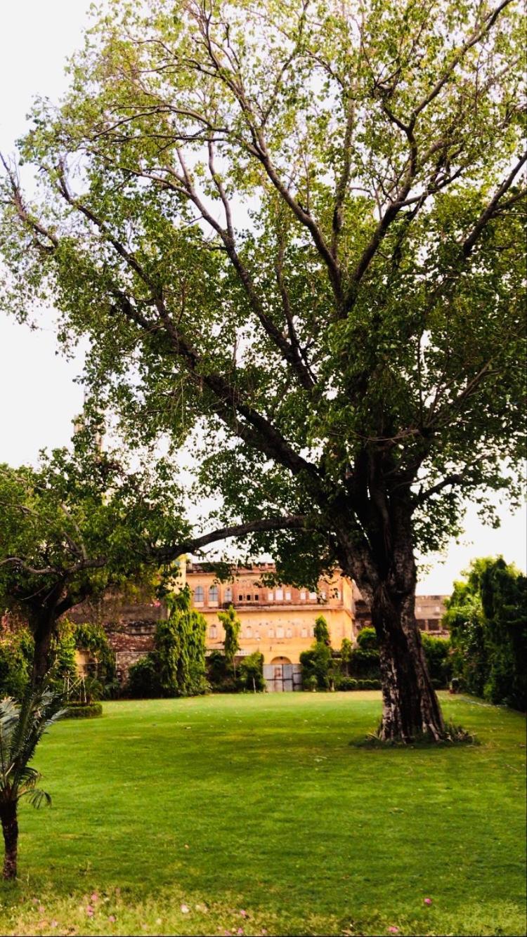 Saba Haveli Hotel Dzsaipur Kültér fotó